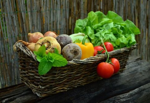 Exporter au lieu de nourrir, le «scandale» de l’agriculture française